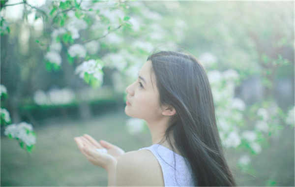 会理验血查男女几周可以验(验血查男女结果图)